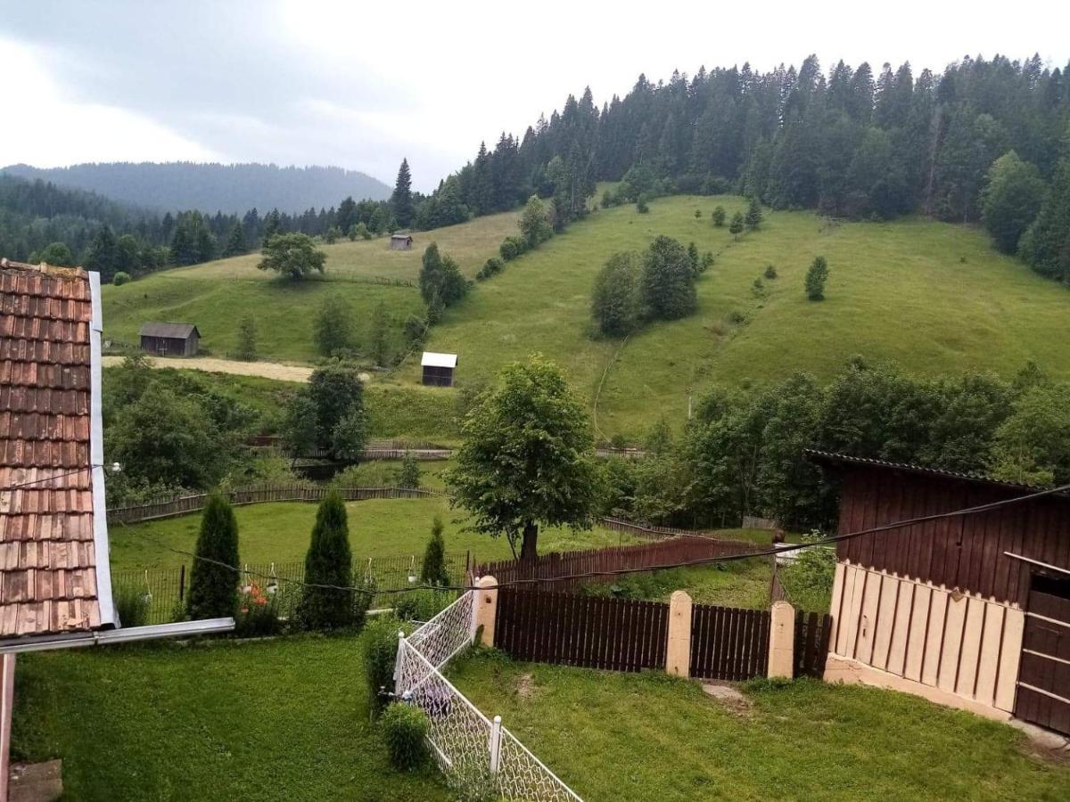 Готель Casa Ionescu Садова Екстер'єр фото