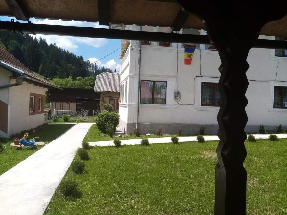 Готель Casa Ionescu Садова Екстер'єр фото