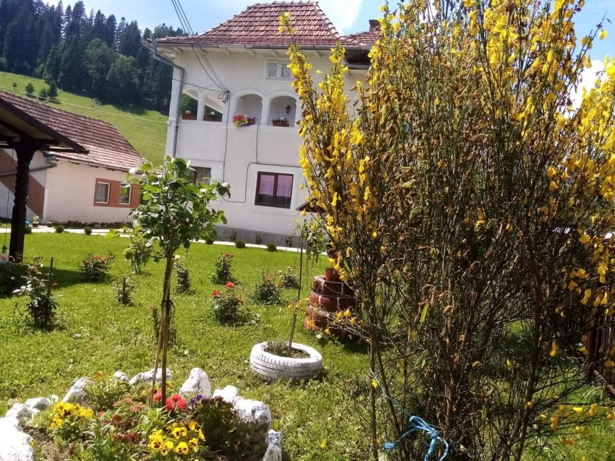 Готель Casa Ionescu Садова Екстер'єр фото