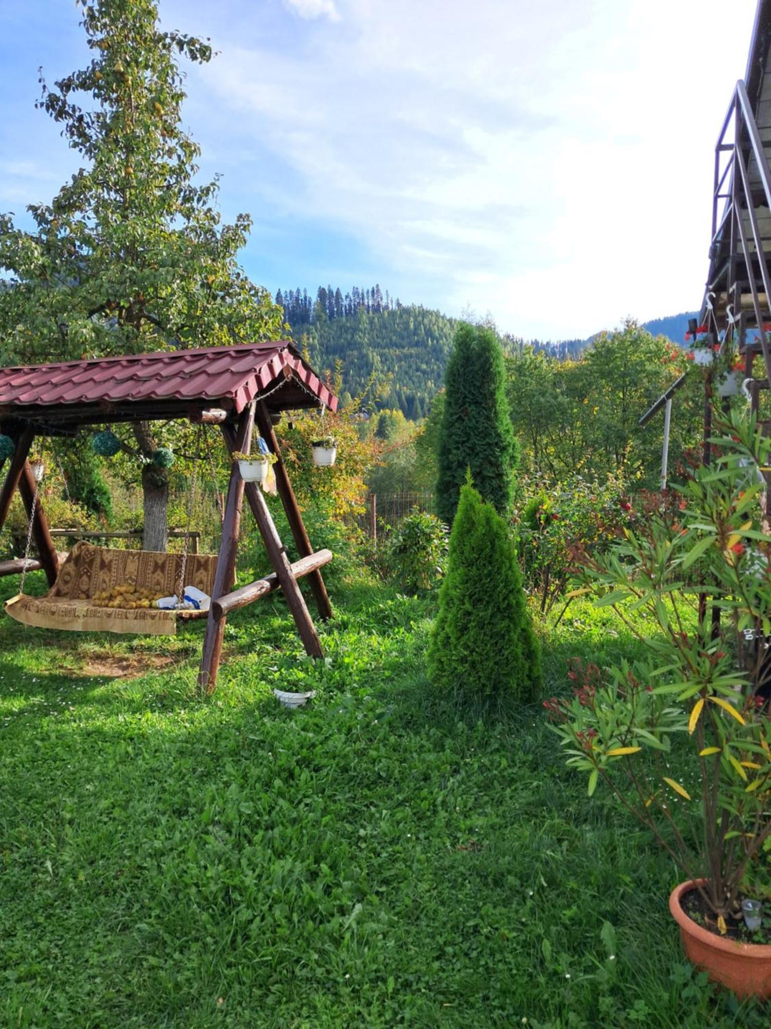 Готель Casa Ionescu Садова Номер фото