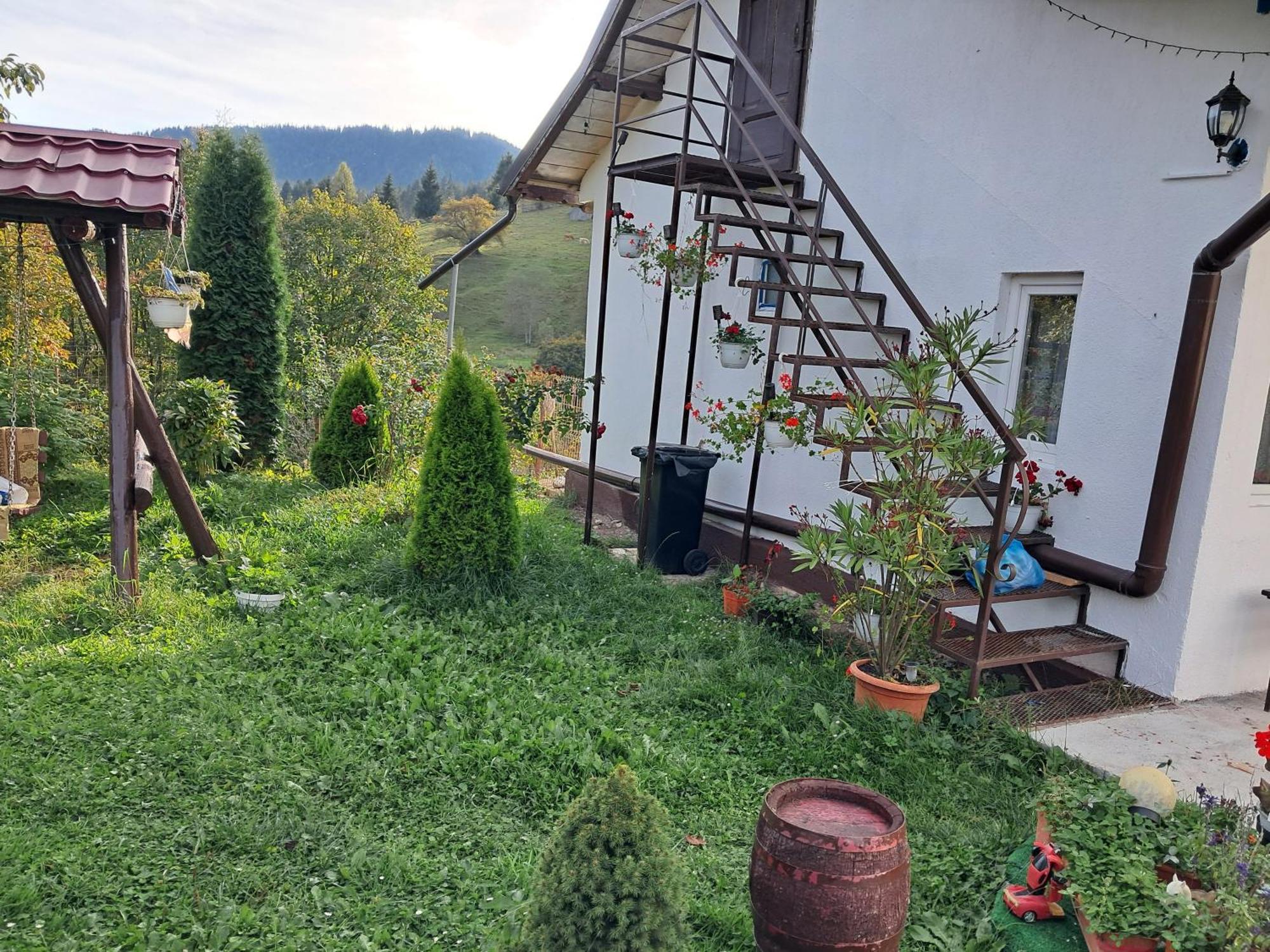 Готель Casa Ionescu Садова Номер фото